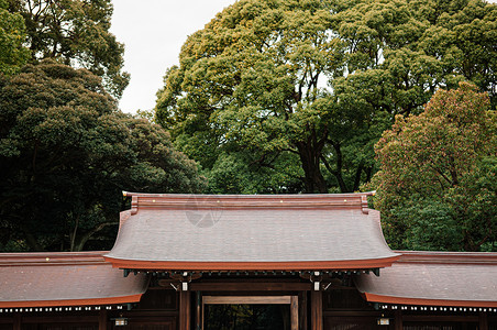 2018tkyojapnmeijngu圣殿历史木质门和走廊背景有大树是日本首府最重要的圣殿背景图片