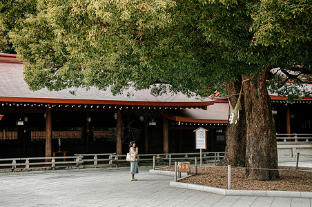 2018托基奥japnmeijngu圣迹古老的树配有石门泽的绳子和亚裔游客祈祷好运背景图片