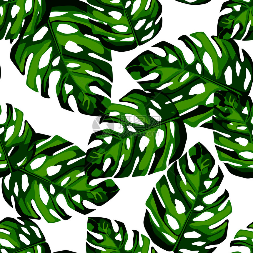 绿色树叶有机热带壁纸植物叶背景织纺品包装纸矢量说明图片