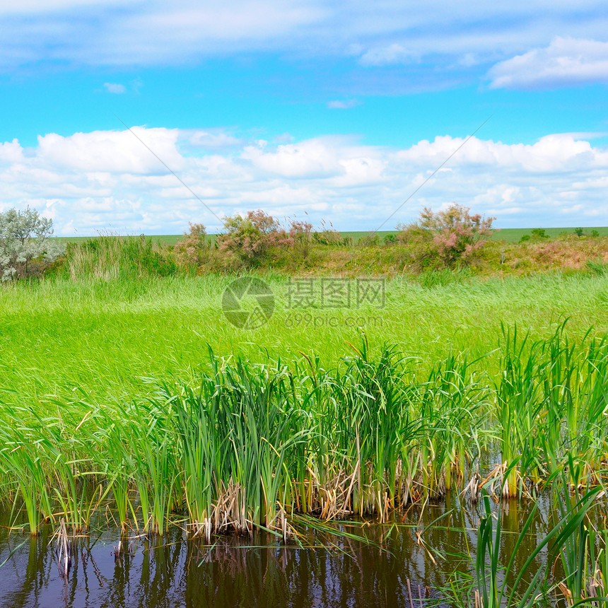 带水生植被和天空的湿湖自然景观的生态保护概念图片