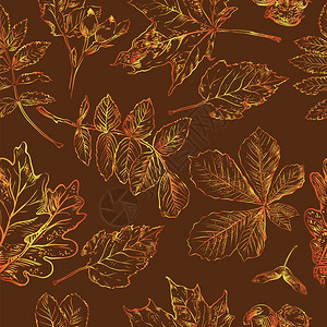 手绘秋季树叶背景图片
