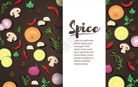 成分说明香料和蔬菜食品背景写矢量说明eps10的写空间插画