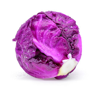 紫色卷心菜白底带水滴图片