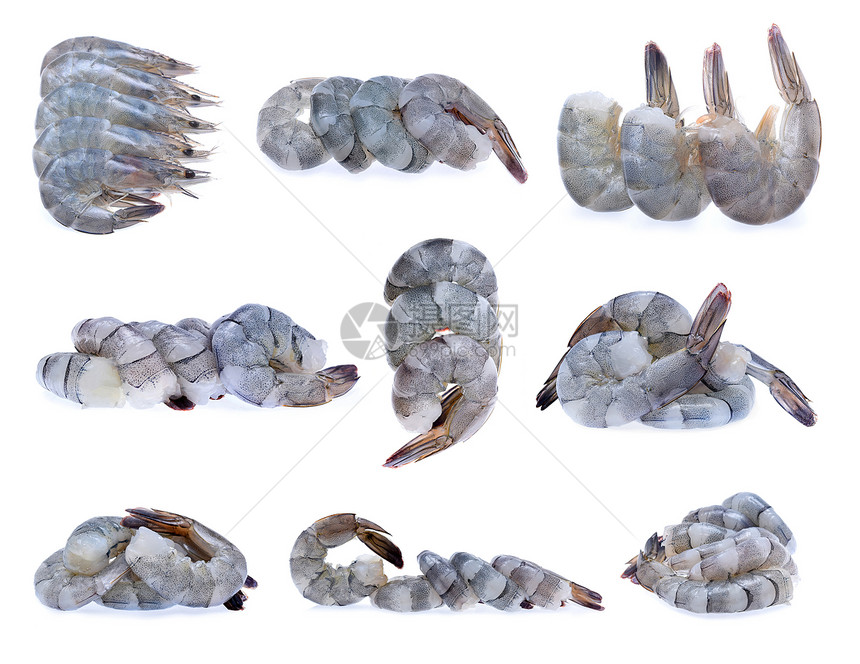 白色背景上的无壳虾图片
