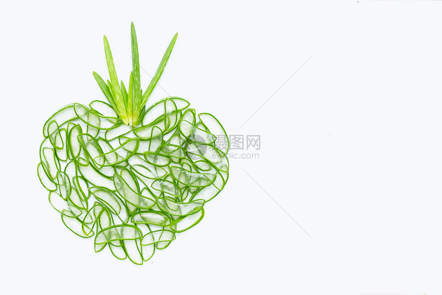 Aloevra是一种健康美的流行药用植物白色背景带有复制空间图片