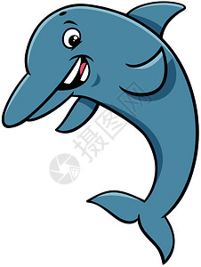 海豚漫画插图图片