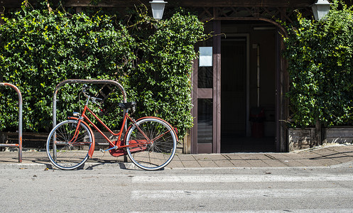 意大利餐厅前的红色自行车绿树叶和门带自行车的意大利街阳光明媚的一天图片