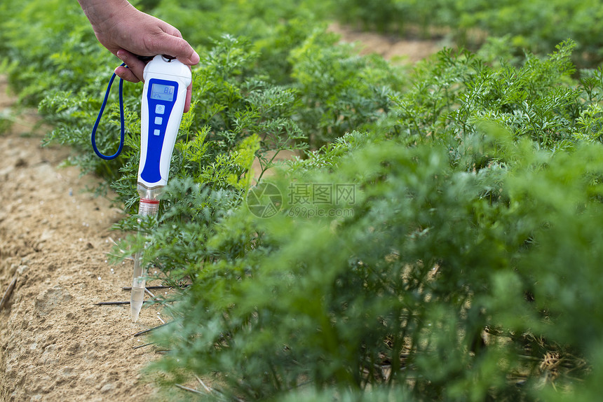 绿色植物和女农民测量土壤中的ph和湿度高技术农业概念图片