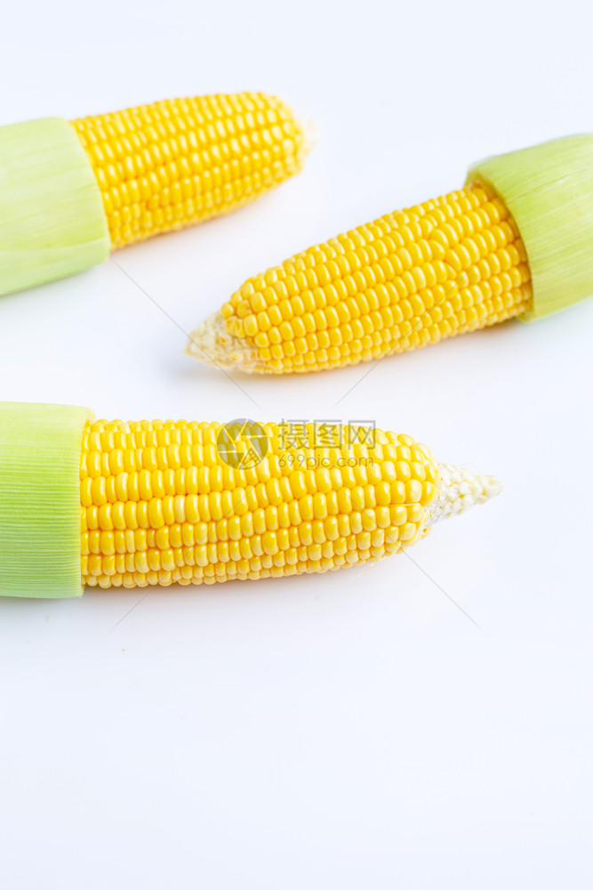 白色背景的新鲜玉米图片