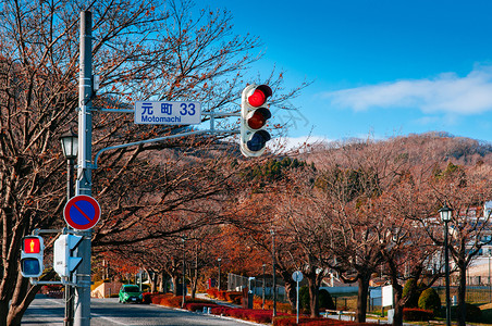 雅潘街道的交通灯图片