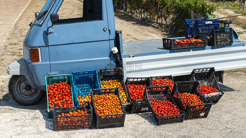 小意大利阿波卡车加西红柿街头市场农民在意大利街头销售西红柿图片