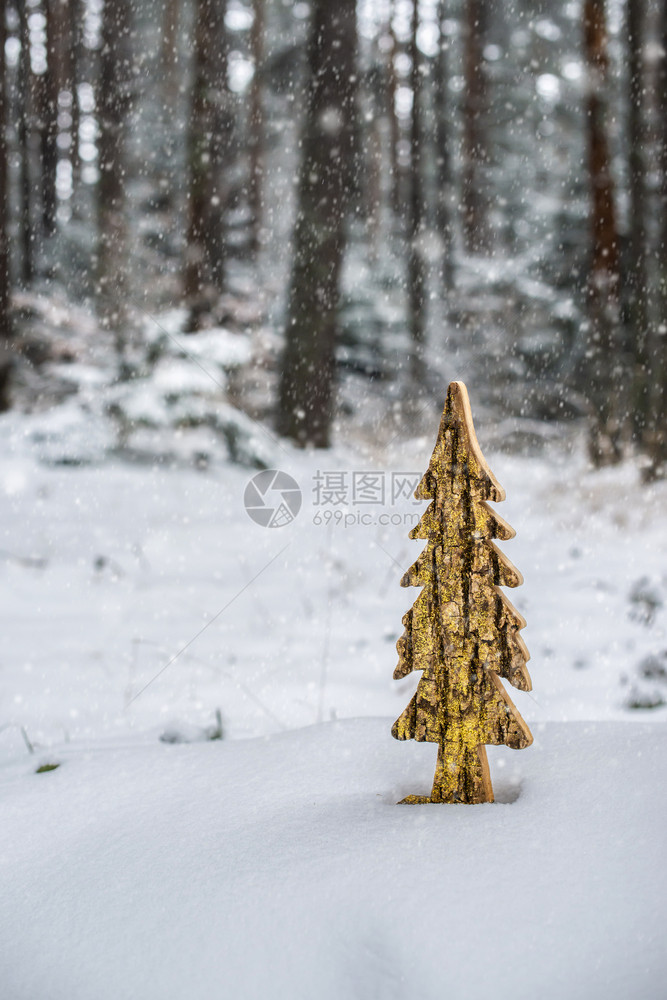林中雪木制松树fir形和闪亮的油漆森林中下雪金色图片