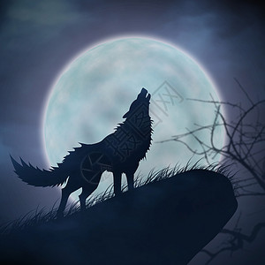 月狼狼叫月圆背景