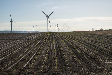 农业用地的风力发电黑土背景