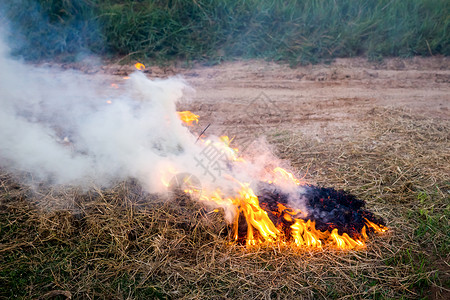 在草地上点燃稻草燃起烟雾图片