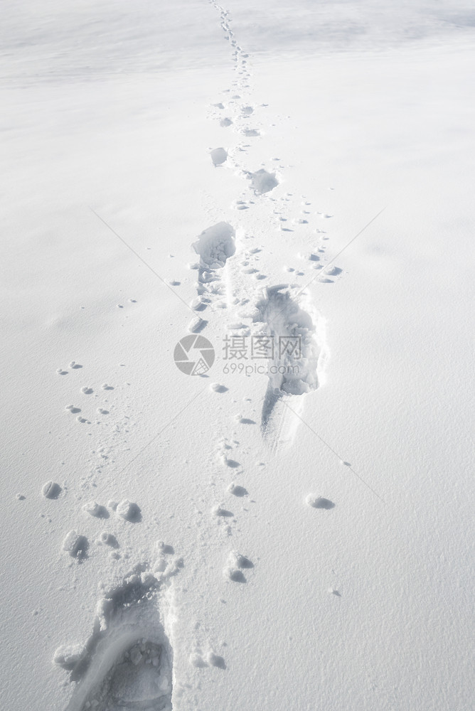 穿过厚的雪层积足迹背景冬季天气框架积雪风景图片