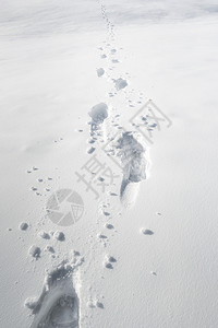 穿过厚的雪层积足迹背景冬季天气框架积雪风景图片