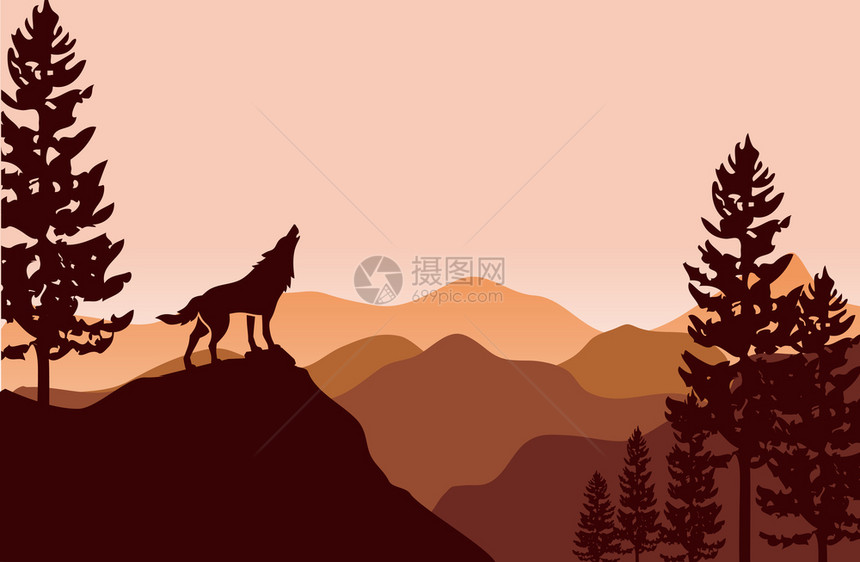 平坦的山丘地貌上有狼和松树图片