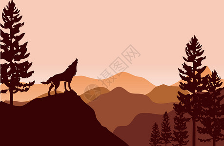 平坦的山丘地貌上有狼和松树插画