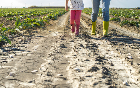 农妇和小女孩在田上行走图片