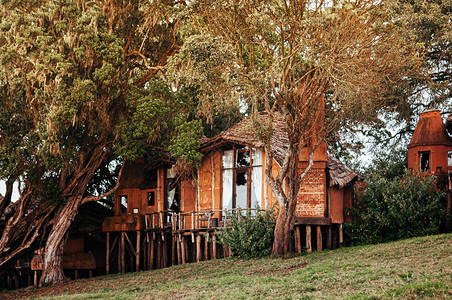 奢侈小屋201年6月5日坦萨尼亚jun2501Tanzi豪华粘土屋非洲原始小别墅背景