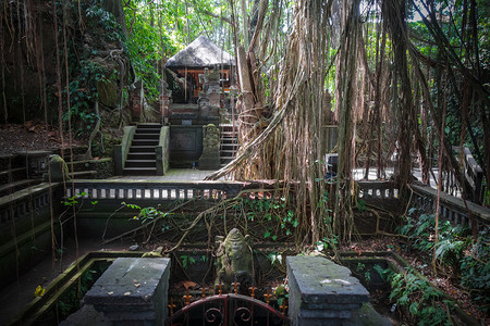 丛林神庙在神圣的猴子森林神庙乌布德巴利印地安尼西亚在猴子森林的神庙印地安尼西亚背景