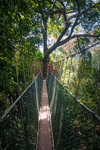 绳武楼Malysi岛Tmnegr公园的吊桥Tamnegr公园mlysi岛背景