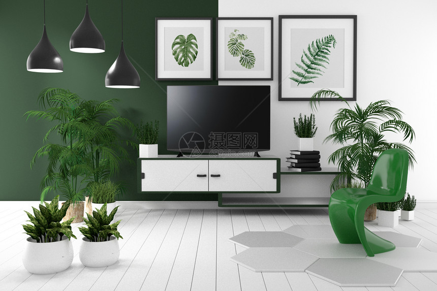热带空房柜台的TV有灯花书地板木上的绿墙和白3D图片