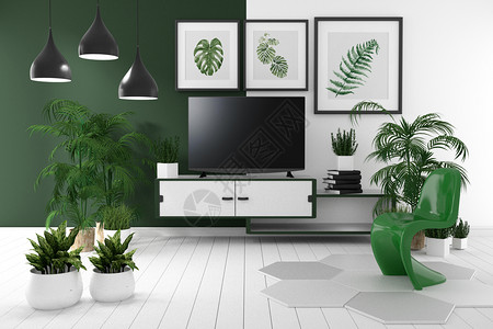 热带空房柜台的TV有灯花书地板木上的绿墙和白3D图片