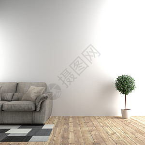沙发旁边的白色房间和空壁背景的植物3D图片