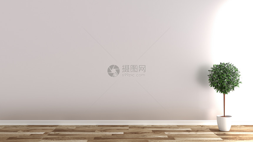 空房间木制地板上有植物白色墙壁背景3d图片