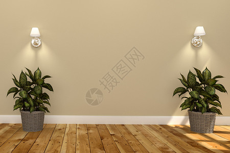 室内起居黄墙背景的木植物背景图片
