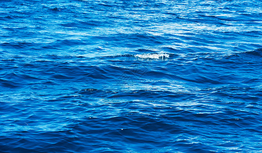 蓝色海水底质图片