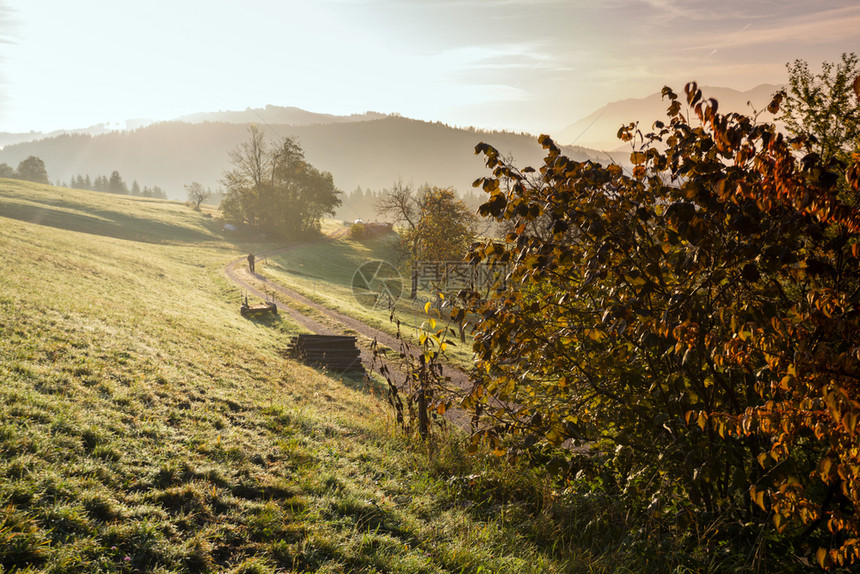 初秋清晨山谷的景色前景中露珠的土路和草地图片
