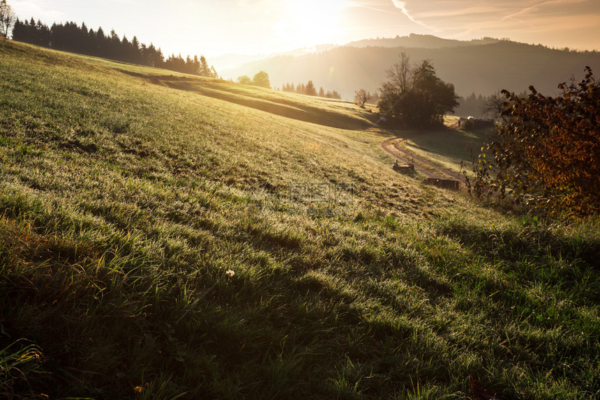 初秋清晨山谷的景色前景中露珠的土路和草地图片