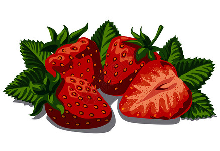 成熟草莓和叶子插图图片