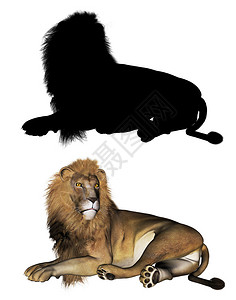 3d雄狮子和黑光影的数字投插图背景图片