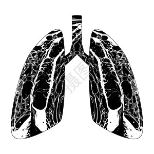 抽象人类肺的背影着大理石纹图片