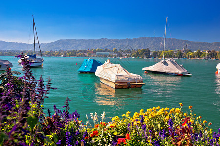 彩色苏黎世湖和维埃风景观中央瑞士图片