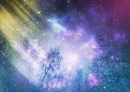 璀璨星空下的梦幻森林图片