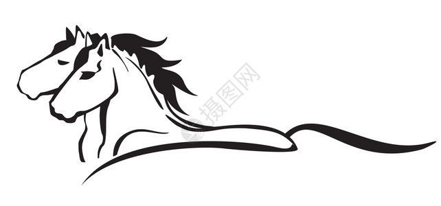 两匹跑马的特征简介中单色装饰肖像白背景上的黑矢量孤立图解标识设计和纹身图像背景图片