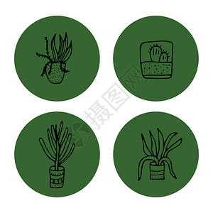 涂鸦风格的营养素一套家用植物海报横幅贺卡印有圆徽章的孤立元素矢量图示图片