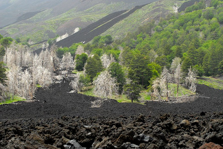 古老的熔岩流在火山原的斜坡上在西里一条摧毁自然的岩石河图片