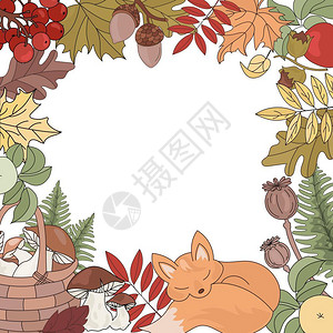 秋天动物和植物矢量元素背景图片