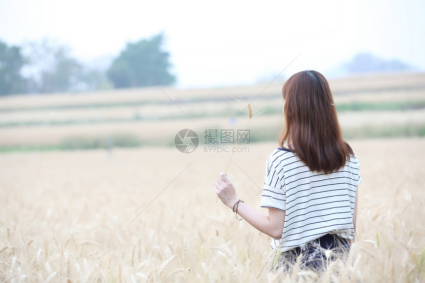 在小麦天的女孩图片