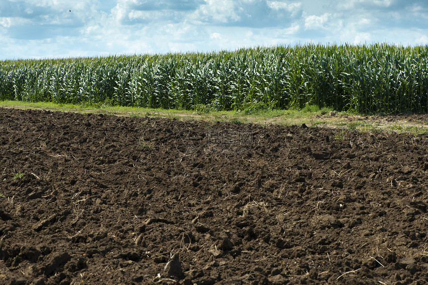 耕种土壤和植场其背景是玉米农业场图片