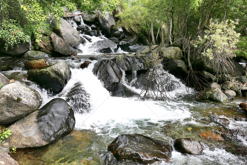 高山河流穿过森林图片