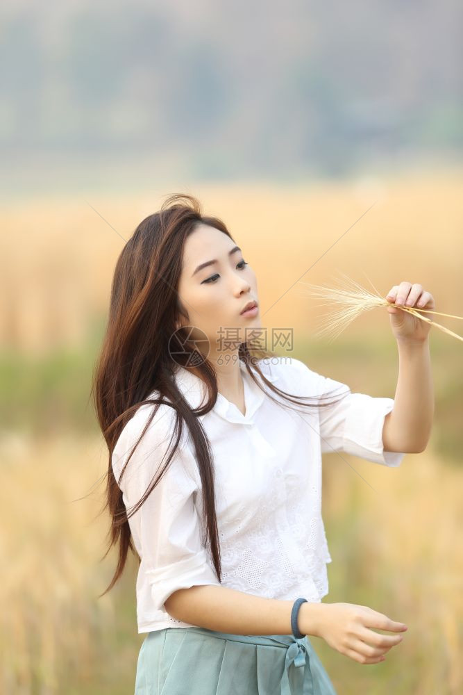 小麦田的亚洲女孩图片