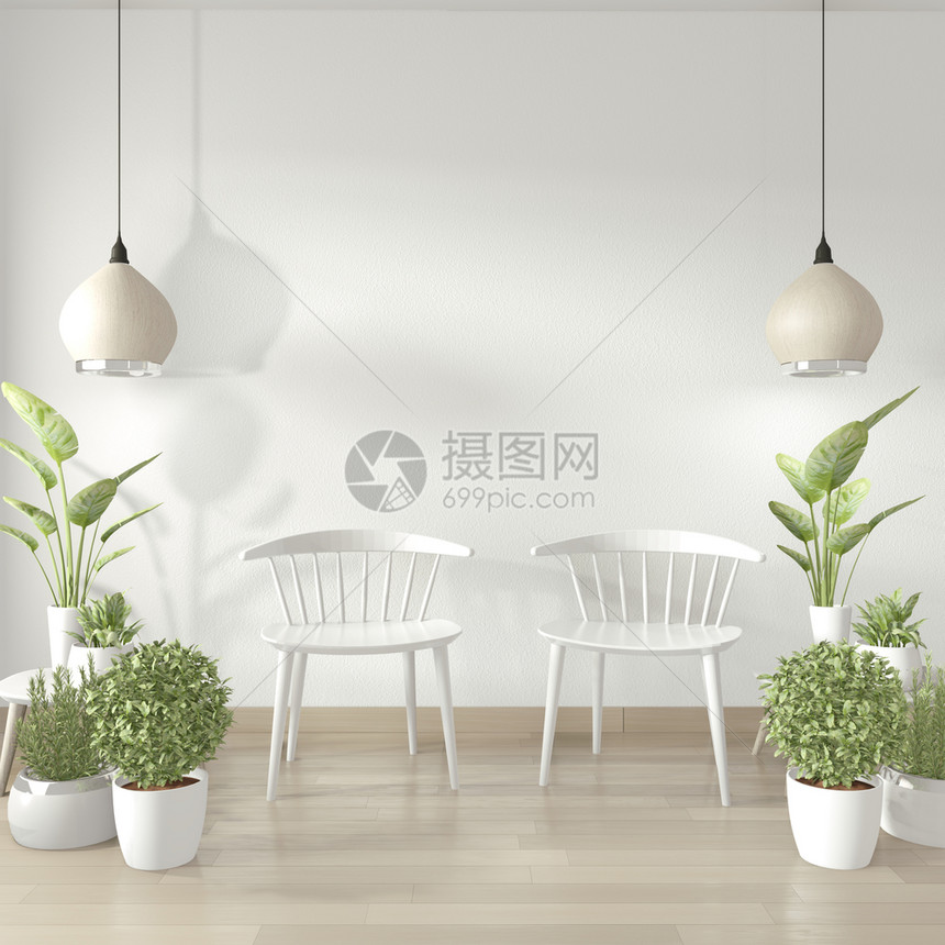 白色客厅里的椅子和绿植图片