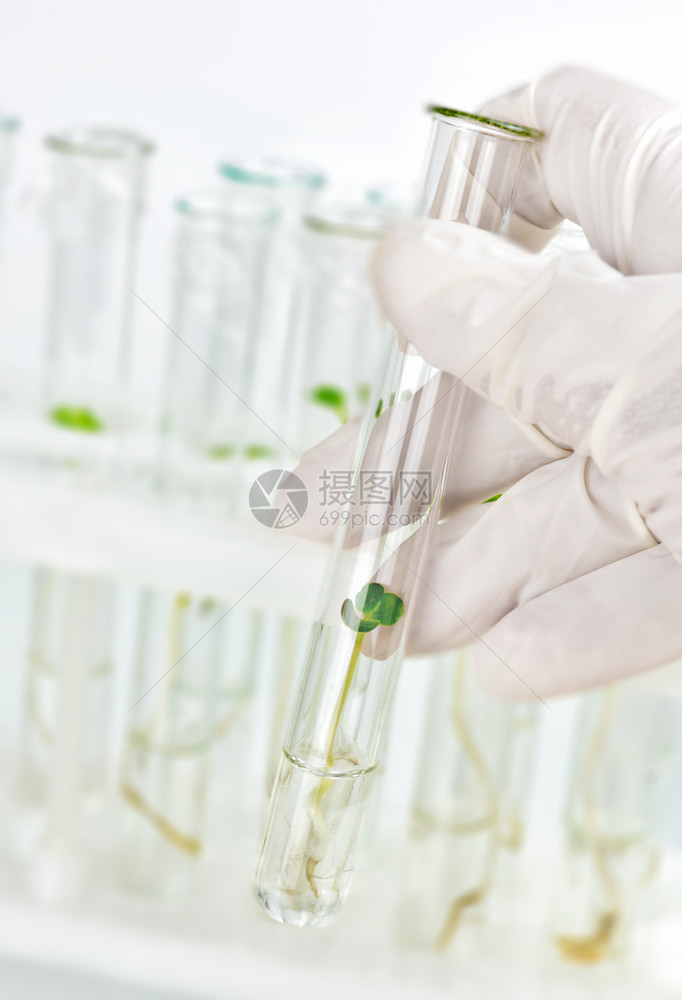 手持橡胶套装有生物材料封闭式试管的橡胶手套图片